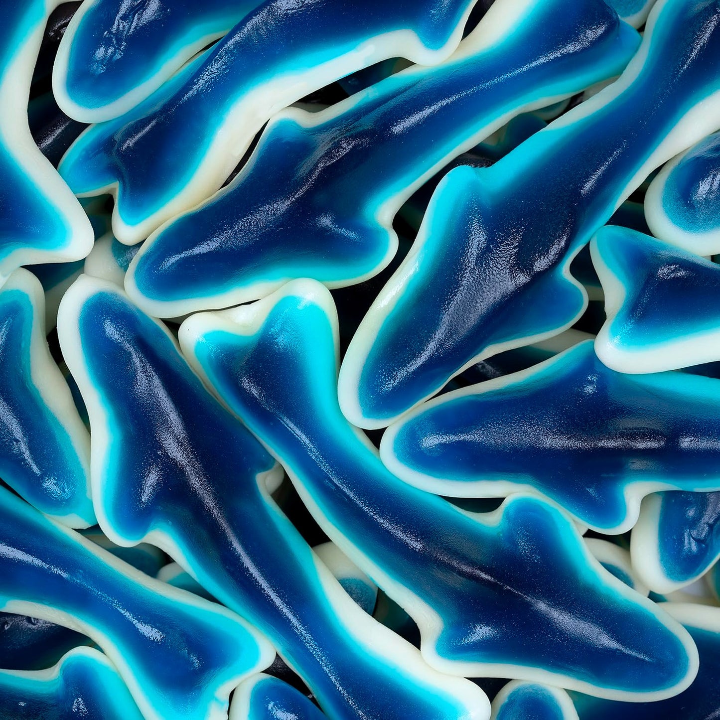 Blue Gummy Shark Candy